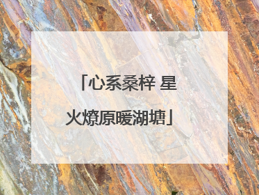 心系桑梓 星火燎原暖湖塘